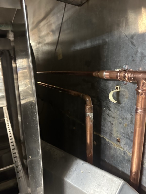 Water line testing