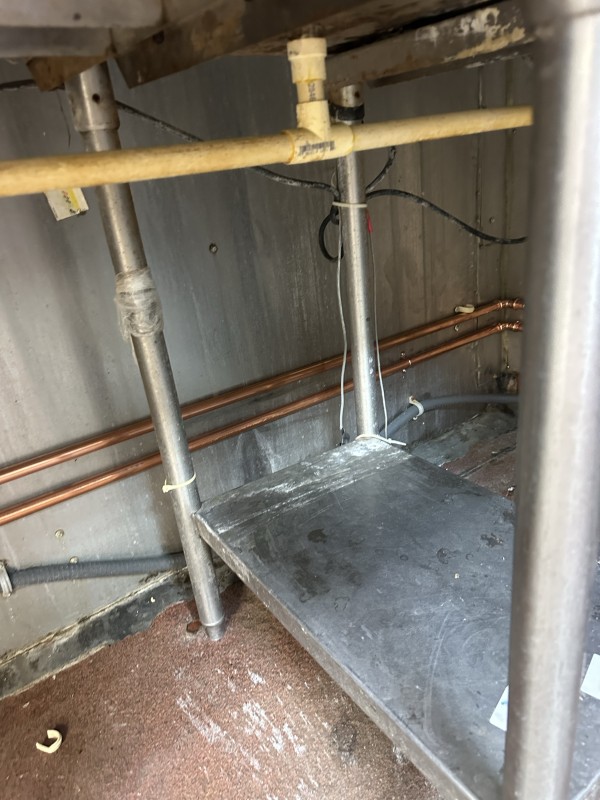 Backflow preventer check