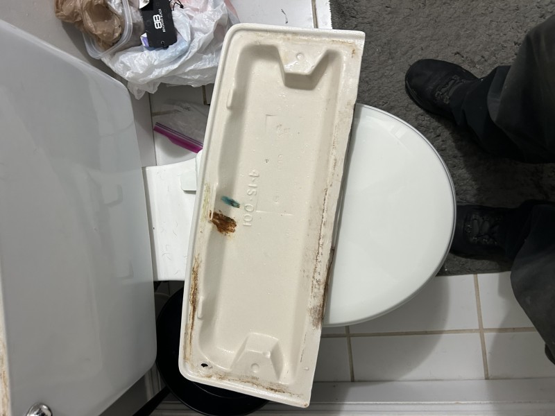 Drain after clog removal