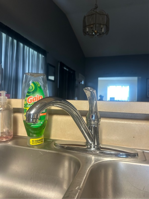 Economy Kitchen Faucet Replacement in Brandon, FL