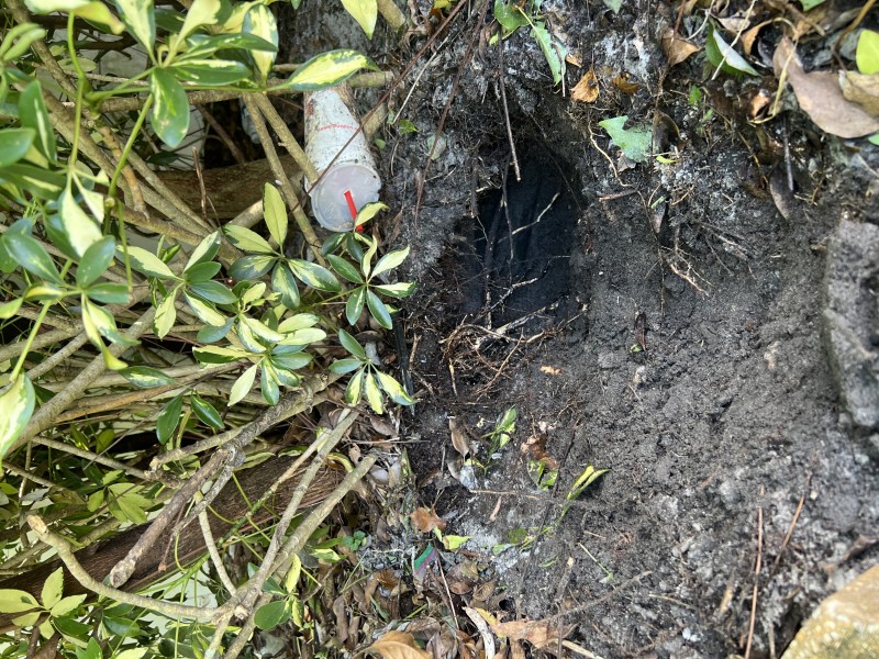 Proactive Leak Search — Winter Park, FL