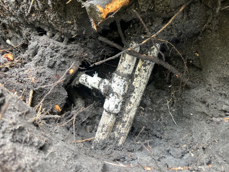 Close-up of exposed white PVC tee and vertical pipes in damp soil with roots