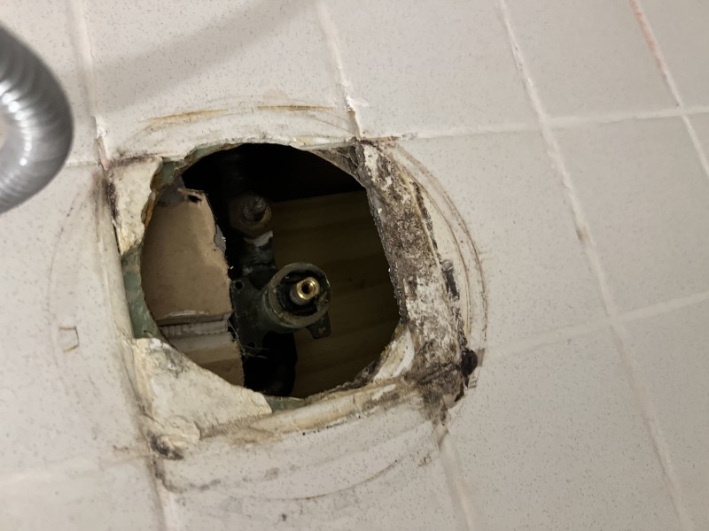 Shower, Kitchen & Guest Bath Plumbing Service in Seffner, FL