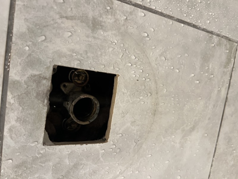 Moen Posi-Temp Shower Cartridge Replacement in Tampa, FL | Late September 2025