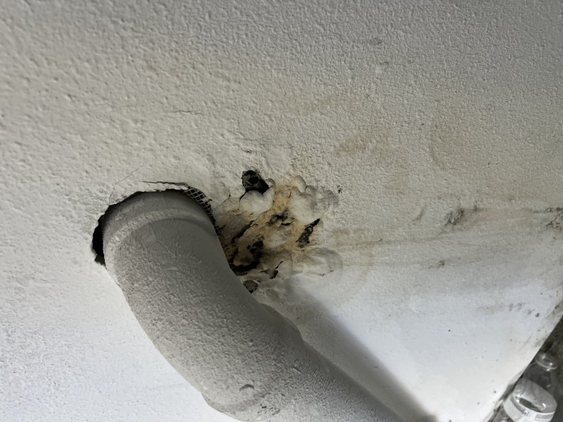 Washing Machine Drain Leak Repair – Deltona, FL (October 2025)