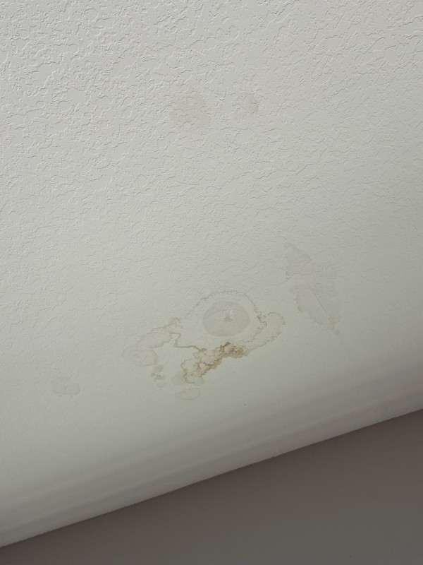 Master Bathroom Leak Detection & Repair – Wesley Chapel, FL (October 2025)