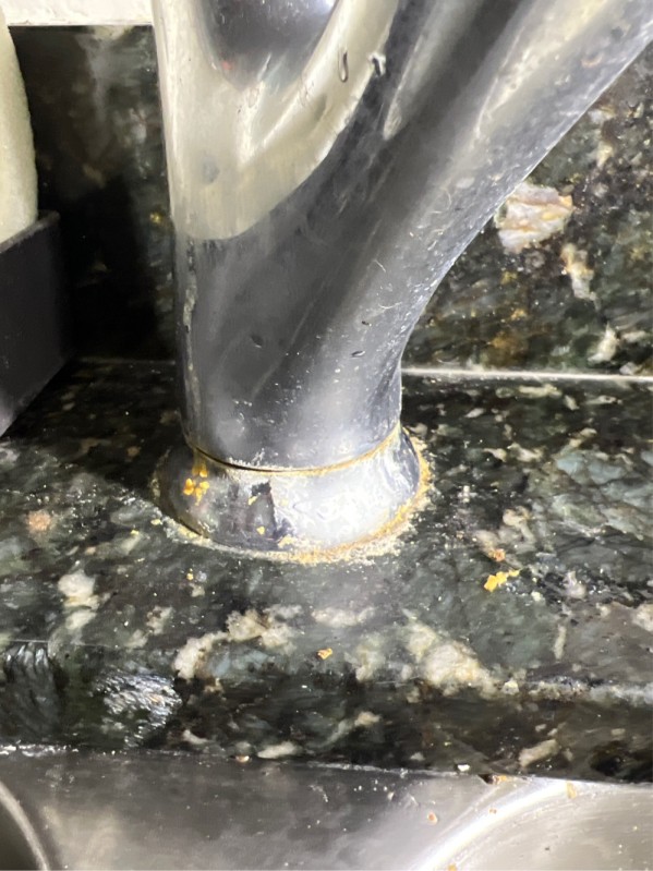 Kitchen Faucet Replacement in Tampa, FL (October 2025)