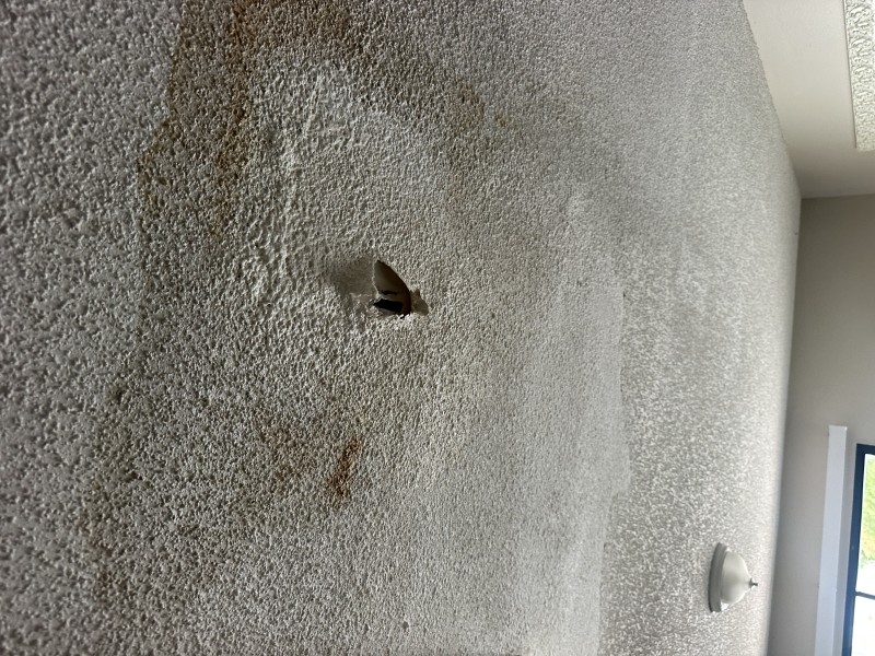 Ceiling Leak Repair on 1/2" Poly Pipe in Land O' Lakes, FL