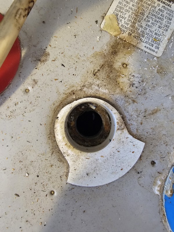 Water heater T&P valve port being inspected and cleaned, St. Petersburg, FL, December 10, 2025