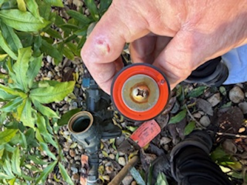 Wilkins 975 XL RPZ backflow preventer opened for service and evaluation, Brooksville, FL, December 2025