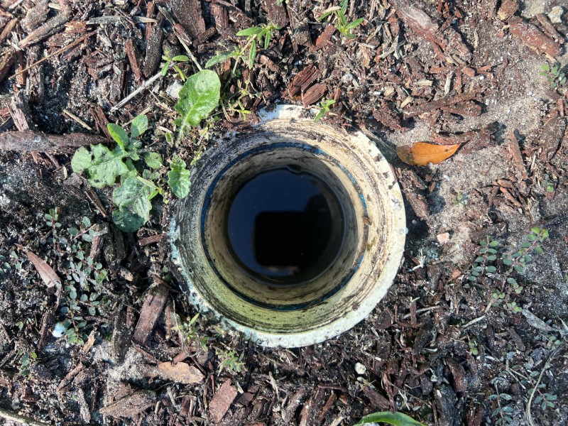 Accessing the rear exterior cleanout to begin drain cleaning for a branch line stoppage, Zephyrhills, FL, December 29, 2025