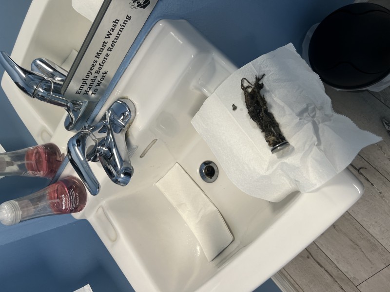 Cleaning the bathroom sink pop-up assembly to restore proper drainage after the branch line was cleared, Zephyrhills, FL, December 29, 2025