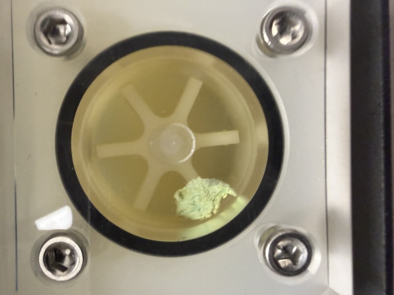 Tankless Water Heater No Hot Water Repair & Flush | Tampa FL