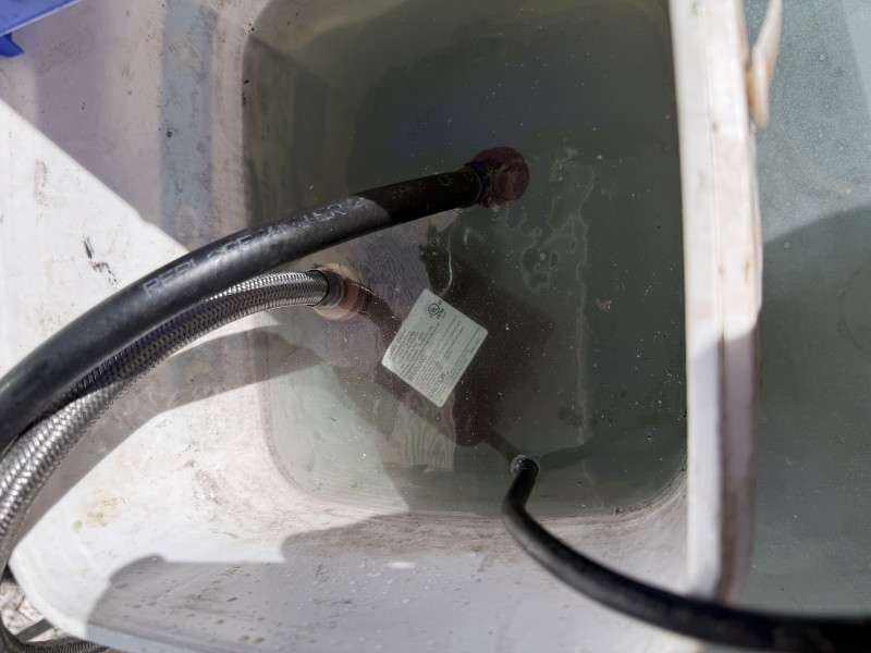 Descaling setup bucket with hoses recirculating cleaning solution through tankless water heater using a circulation pump, Tampa, FL, January 29, 2026