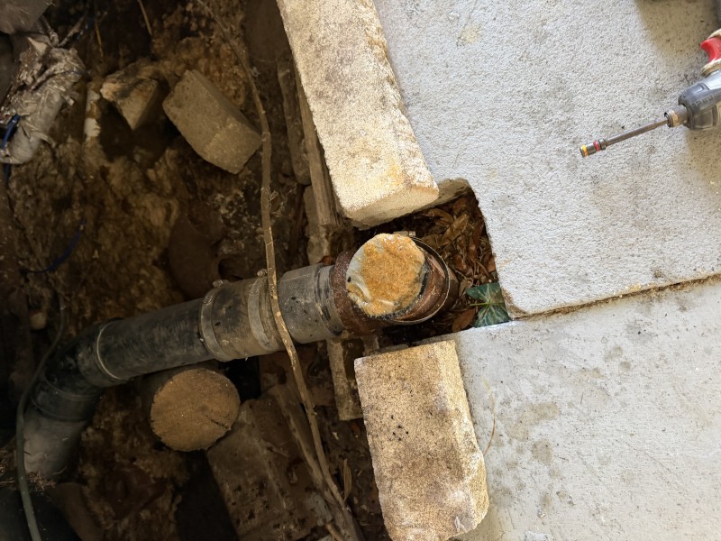 Emergency Main Sewer Line Stoppage Through Cleanout in Tampa, FL