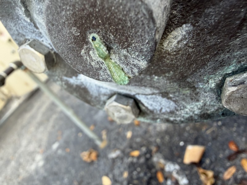 Close-up highlighting a crack and green patina on the damaged backflow preventer casing from freeze conditions, Lake Wales FL, February 23 2026
