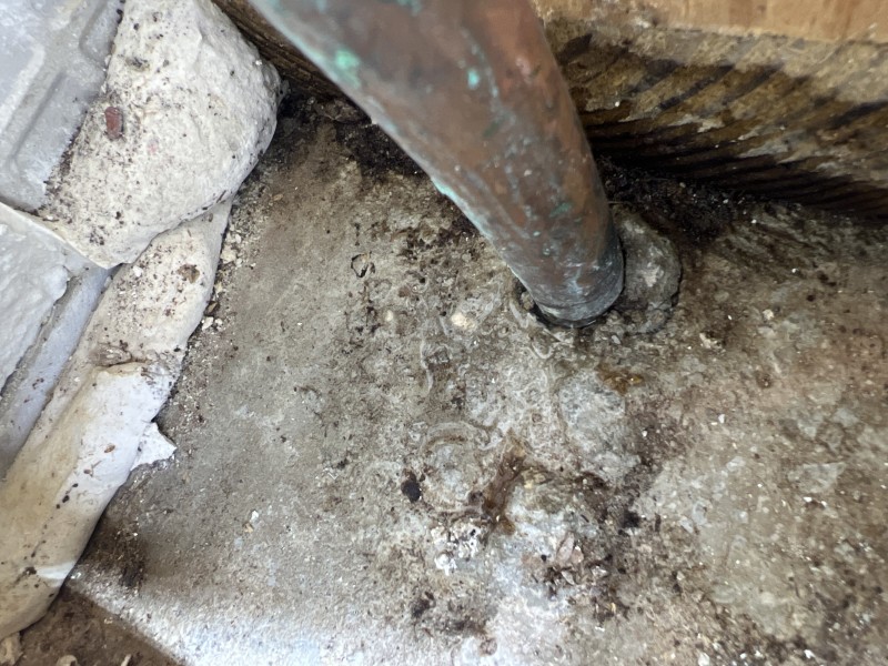 Downstairs Toilet Water Line Reroute After Slab Leak Detection in Tampa, FL