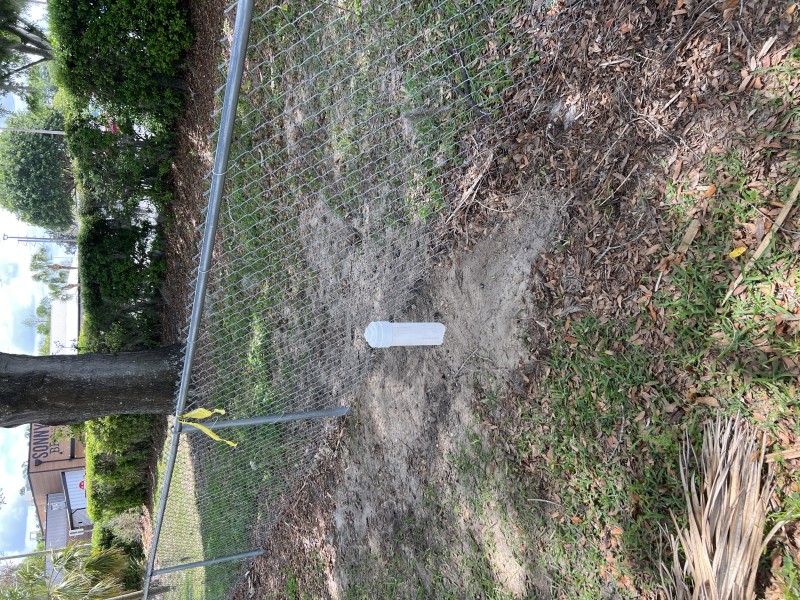 Completed sewer repair area with new cleanout visible after backfill, Zephyrhills FL, March 2026