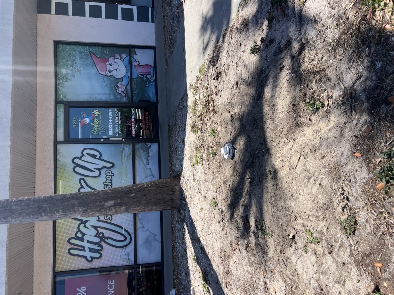 Completed sewer cleanout repair with new cap installed and area restored, Spring Hill Florida April 2026