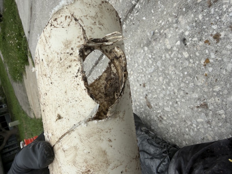 Removal of damaged sewer pipe section during excavation in New Port Richey, Florida, May 2026